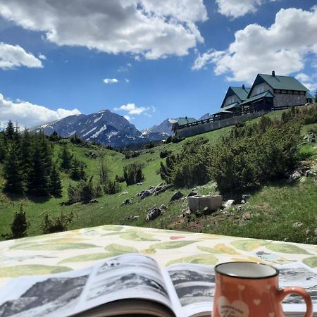 Apartmani 1490 Žabljak 外观 照片