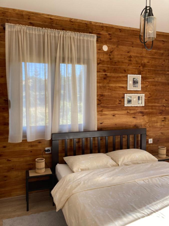 Apartmani 1490 Žabljak 外观 照片